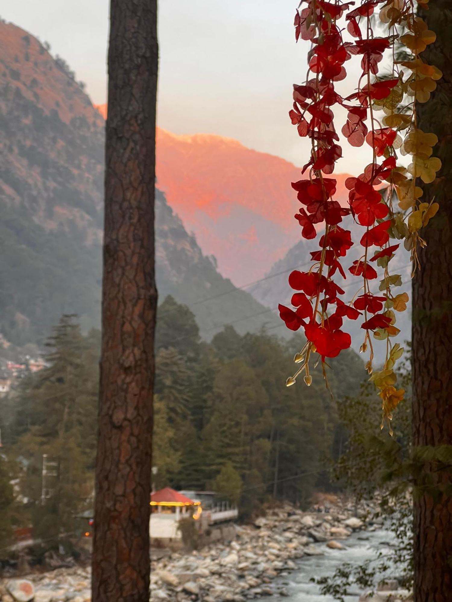 Ahava Kasol Riverside Cafe And Cottages Eksteriør bilde