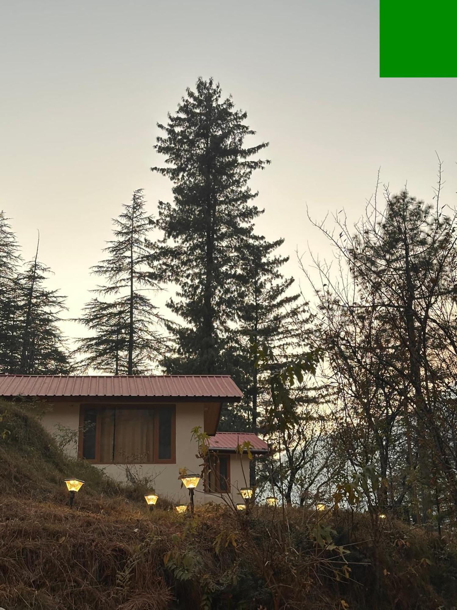 Ahava Kasol Riverside Cafe And Cottages Eksteriør bilde